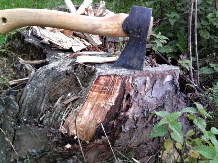 fatwood_986214