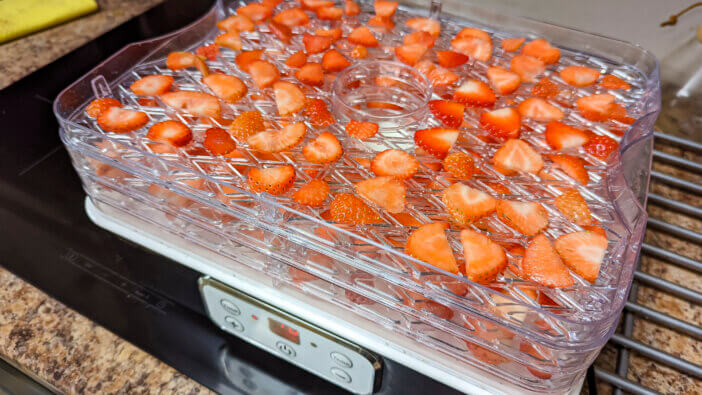 Strawberries sliced and placed onto trays to be dehydrated for long-term storage.