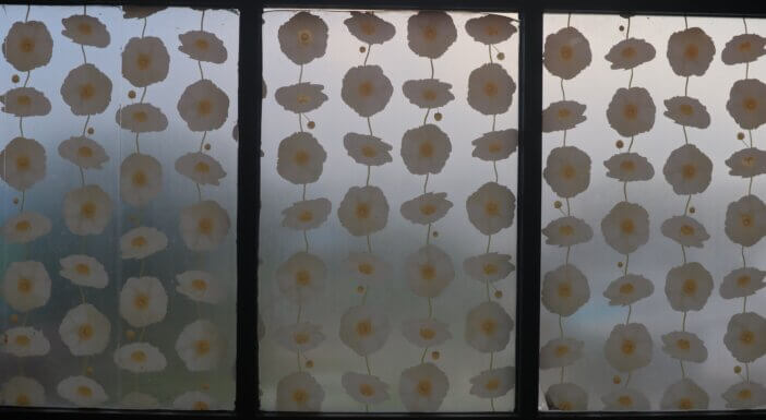 flower stickers can be seen in the glass windows of the house.
