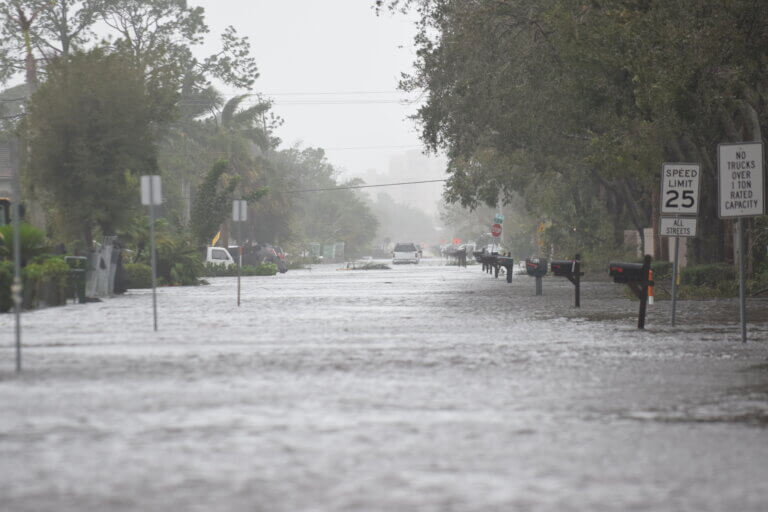 9 Best Hurricane Food Options to Stockpile