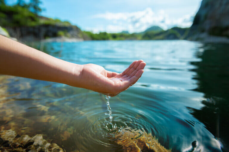 hand holding water in pond