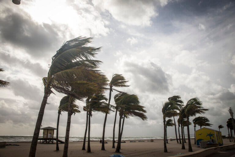 Hurricane Safety: Essential Tips for Staying Safe