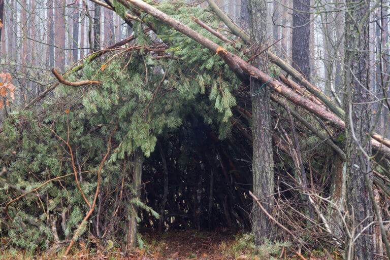 10 Types of Survival Shelters for Any Emergency Situation