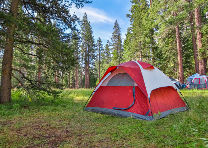 Forest campsite with tents