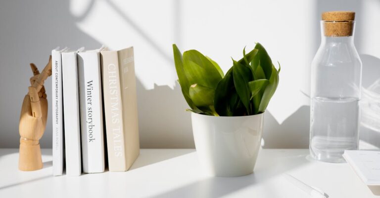 12 Creative Ways to Store Water at Home Using Spaces You Already Have