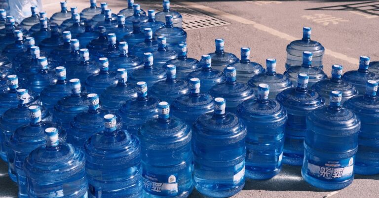 10 Best Water Barrels for Bulk Water Storage That Support Daily Life