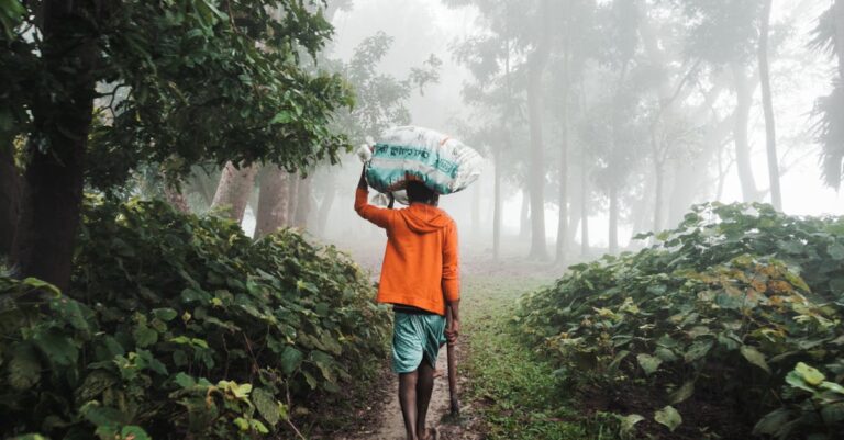 10 Best Water Delivery Systems for Rural Areas That Keep Everyone Safe