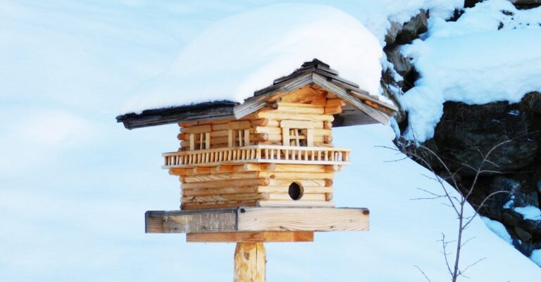 9 Commercial vs DIY Shelter Kits That Save Time and Money