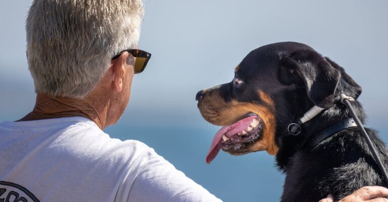 11 Best Pet Care Supplies for Helping Elderly Neighbors During Heat Waves