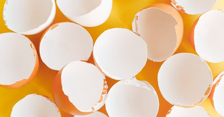 12 Food Waste Reduction Strategies Every Family Should Know