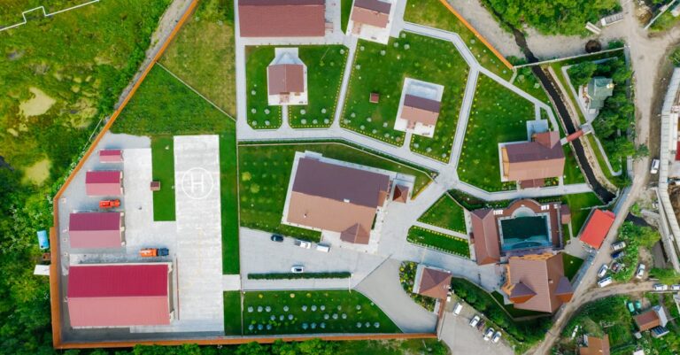 9 Seed Saving Garden Layout Tips That Support Family Food Security