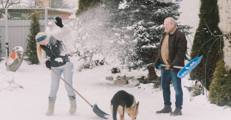 10 Best Snow Shovels for Winter Emergencies That Keep Everyone Safe