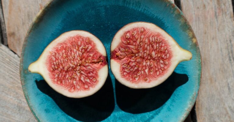 10 Best Seeds for Emergency Food Gardens That Support Daily Life