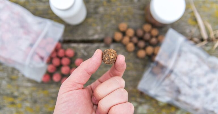 10 Best Fishing Gear for Food Sourcing Without Breaking the Bank