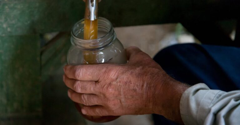 12 Practical Food Preservation Methods Every Family Should Know