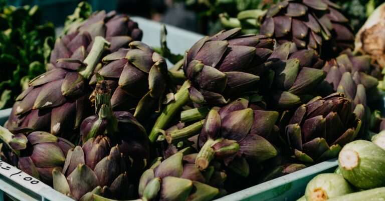 9 Tips for Exploring Local Farmers Markets for Edible Plants Without Breaking the Bank