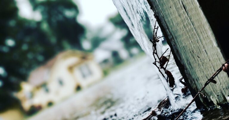 10 Rainwater Harvesting for Urban Homes That Save Money Year-Round