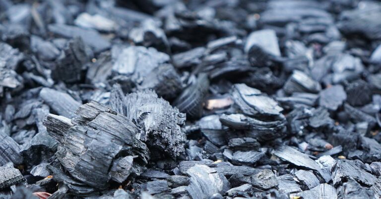 12 Essential Cooking Tools for Alternative Fuel Sources That Support Daily Life