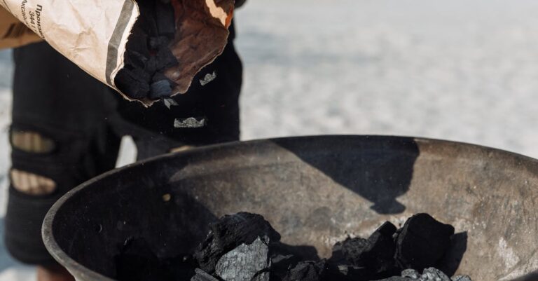 10 Best Charcoal Briquettes for Emergency Grilling That Keep Everyone Safe