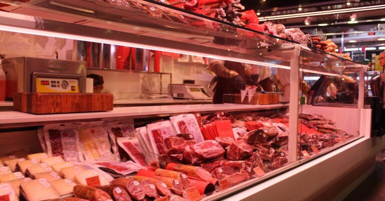 10 Best Freezer Bags for Storing Meat in Case of Extended Outages