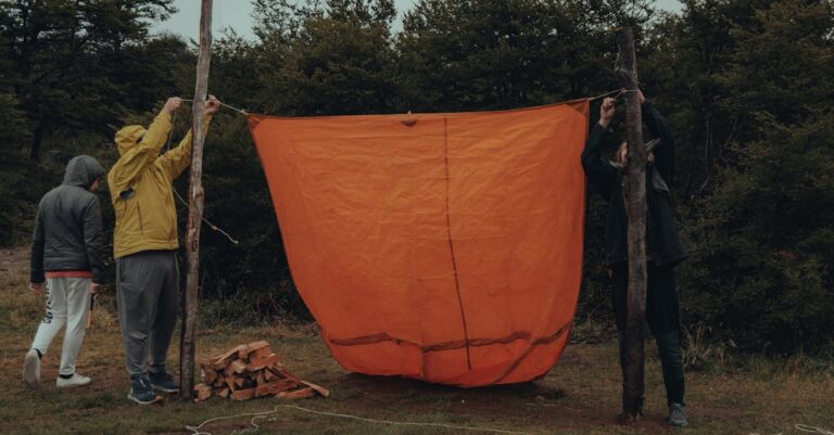 10 Best Tarp Kits for Shelter Building That Serve Double Duty