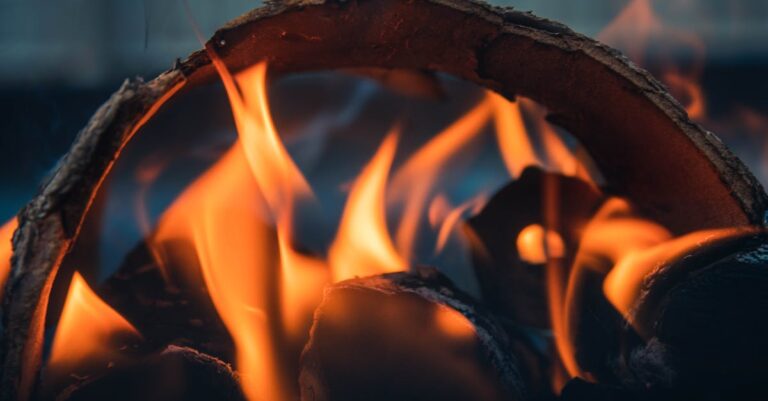 10 Best Firewood for Camping and Emergency Heating That Serve Double Duty