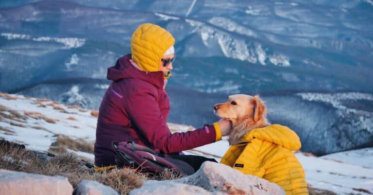 10 Best Waterproof Jackets for Outdoor Adventures Without Breaking the Bank