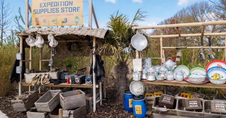 10 Best Outdoor Cooking Equipment for Camping That Won’t Break the Bank