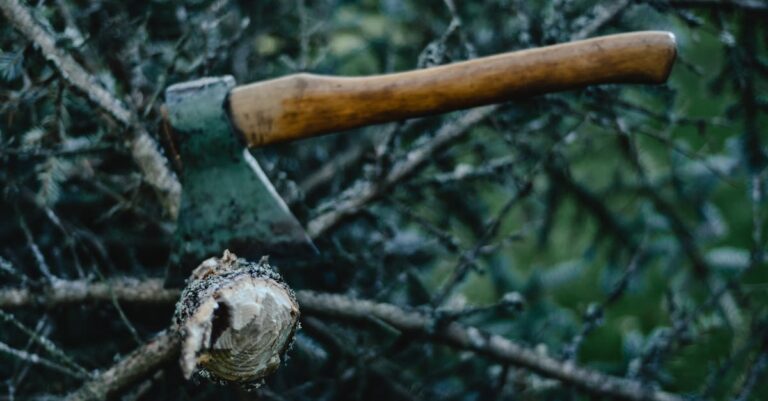 10 Best Axe and Hatchet Sets for Survival That Enhance Outdoor Skills