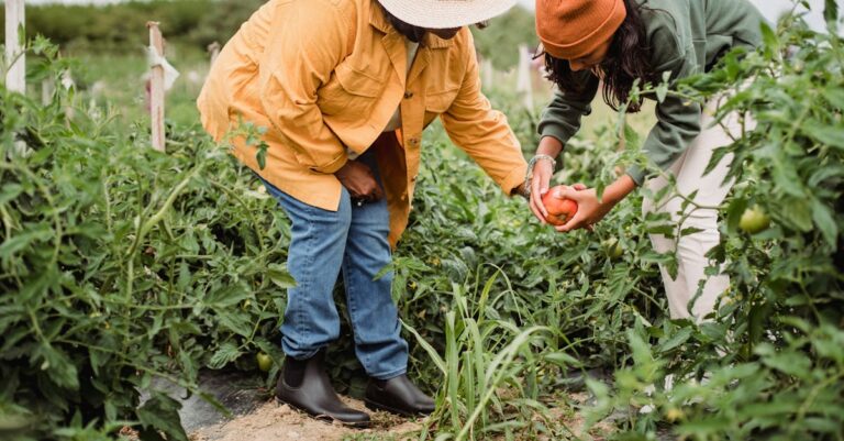 10 Best Emergency Gardening Tools for Food Production That Serve Double Duty