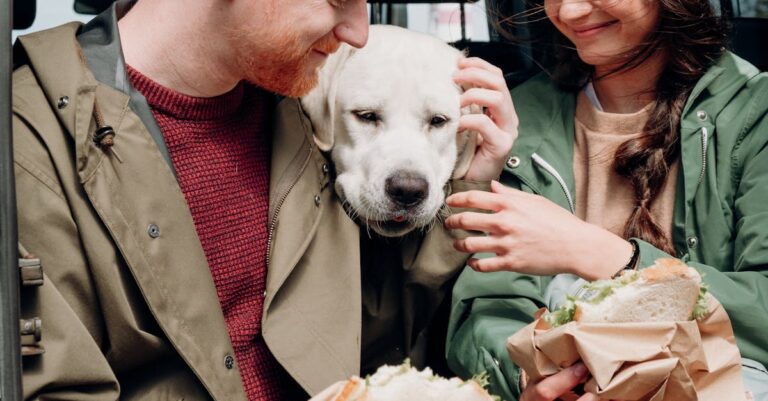 10 Best Travel Pet Food Containers for Emergencies That Keep Pets Happy