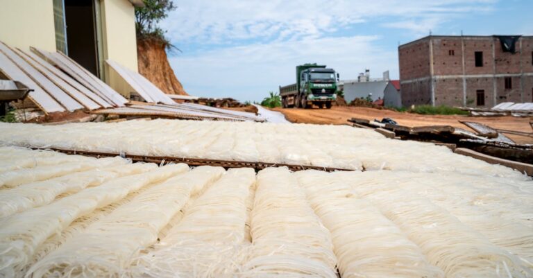 10 Sustainable Food Storage Methods That Save Money and Our Planet