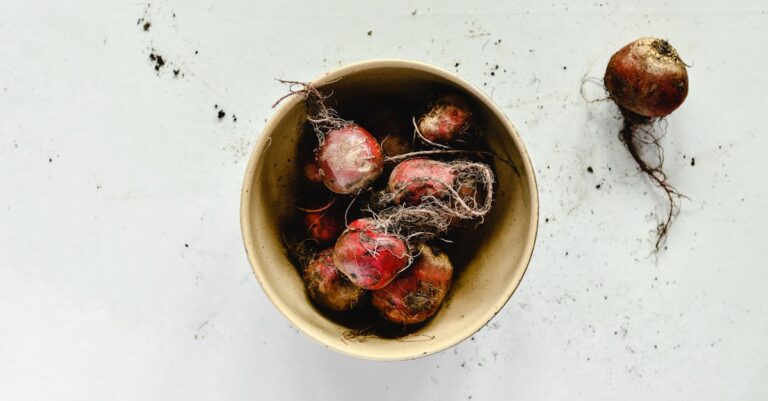 10 Best Off-Grid Cooking Supplies for Power Outages That Maximize Efficiency
