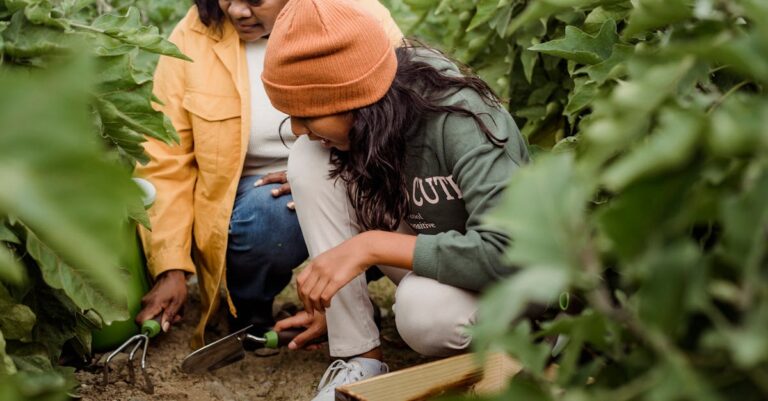 10 Family Projects for Rainwater Harvesting That Make Earth Happier Together