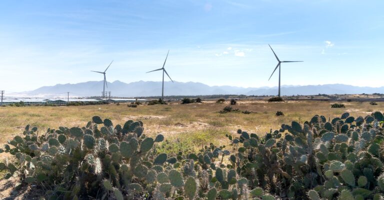 11 Alternative Energy Sources That Power Homes Sustainably