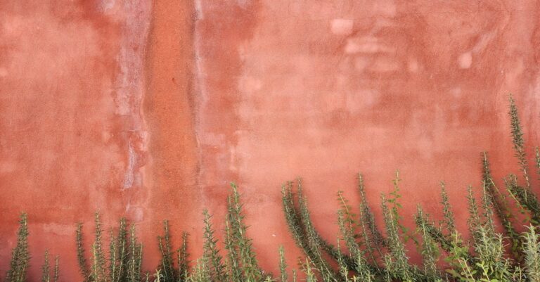 7 Urban Stealth Gardening Techniques That Transform Forgotten Spaces