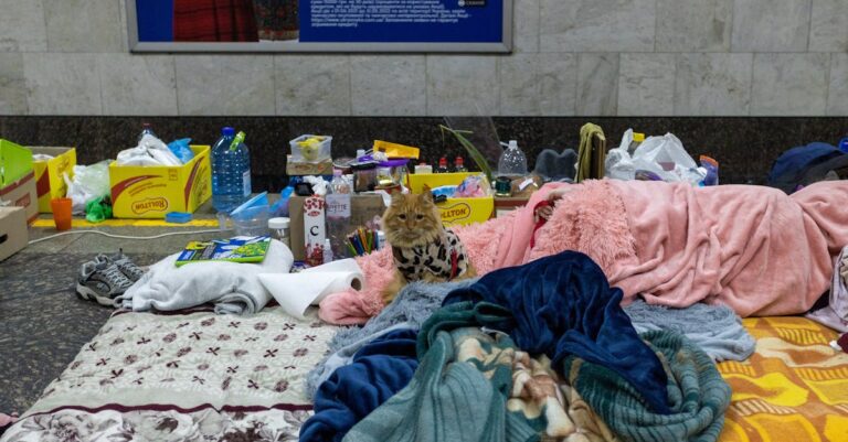 7 Ways to Organizing Shelter Supplies Efficiently That Save Precious Time