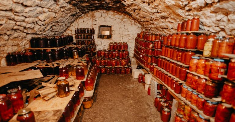 7 Ways Utilizing Root Cellars for Food Storage Saves Money and Energy