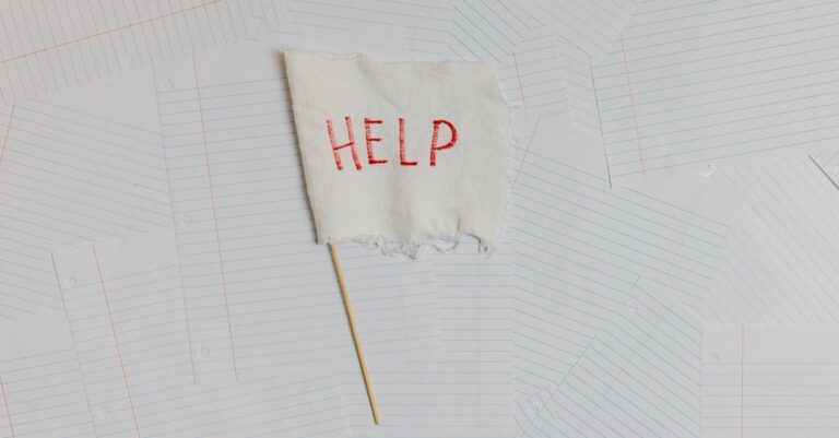 8 Tips for Creating a Pet Emergency Contact List That Keeps Everyone Safe
