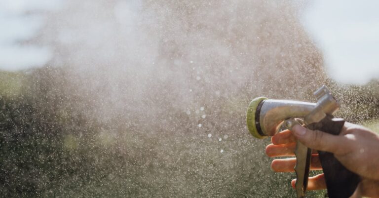 7 Ways to Using Rainwater for Gardening and Landscaping Without Breaking the Bank