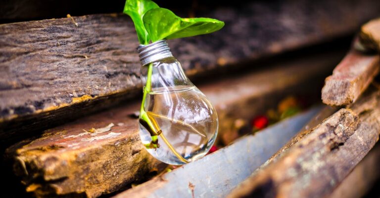 10 Water Recycling Ideas for Households Every Family Should Know