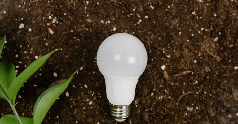 9 Tips for Creating a Seed Saving Plan for Your Garden Without Breaking the Bank