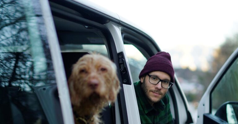 7 Tips for Preparing Pets for Winter Road Trips That Keep Everyone Safe