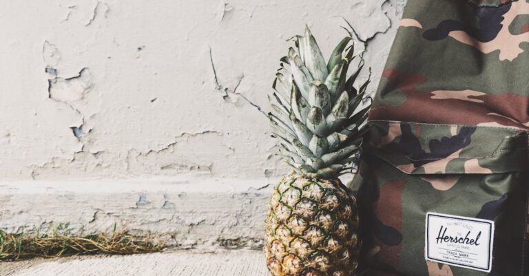7 Food Storage for Outdoor Adventures Tips That Keep Everyone Safe