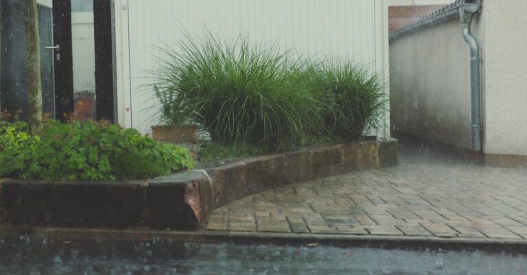 7 Tips for Building a Rain Garden for Water Management That Beautify Yards