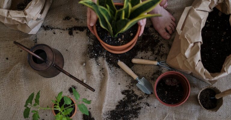 7 Organic Gardening Methods for Beginners That Guarantee Success