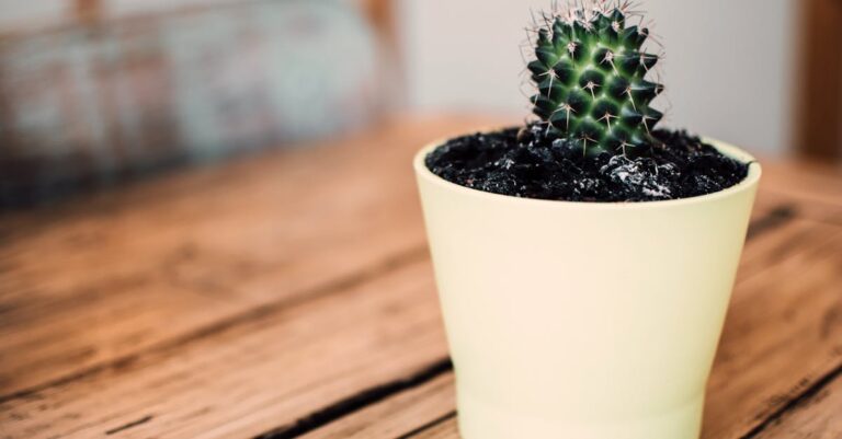 7 Indoor Gardening Strategies for Small Spaces That Maximize Every Inch
