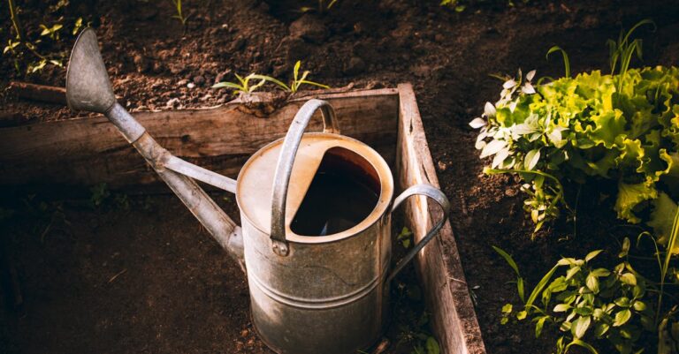 7 Raised Bed vs Container Gardening Tips for Your Perfect Garden Space