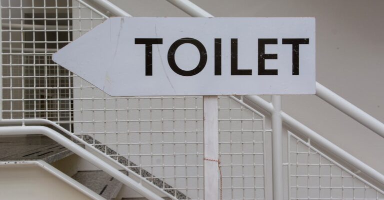 7 Steps to Install a Toilet Like a Pro Without Breaking the Bank