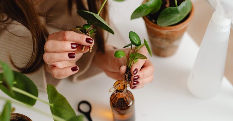 7 Soil Health Tips for Urban Gardening That Transform City Spaces
